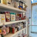 단정하개 이미지