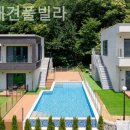 모모애견 이미지