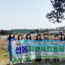 호남농장 이미지