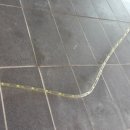 티스테이션 서대구IC점 이미지