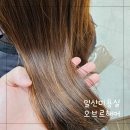 일산 장항동 미용실 오브르헤어 동엽쌤께 클리닉 받은 후기