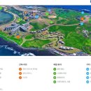 느나제주