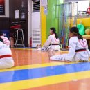 학사태권도 이미지