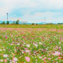 경산종합관광안내소 이미지