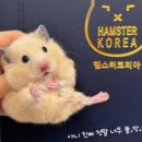 미니펫스쿨