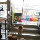 오산25시종합동물병원 이미지