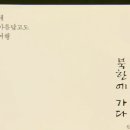 수키씨