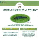 현대세차마당 | 러브버그 퇴치에 효과적인 살충제 총정리