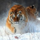 성마루농장 이미지