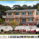 대청민박 이미지