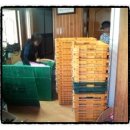 동양익스프레스 이미지