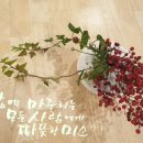 아름다운시선