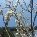 영선농장 이미지