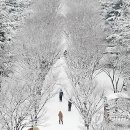 리스티클 - 성남시 분당구 매화로 51 | 리스티클