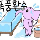더네이처팜 네이버블로그