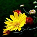 아름다운 사랑이 머무는곳 이미지