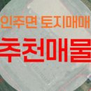 불당아름드리공인중개사사무소 이미지