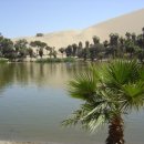 오아시스엘림 이미지