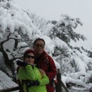 춘하추동 이미지