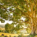 간암말기 치료를 위한 체계적인 관리 이미지