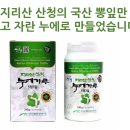 하늘누에 이미지