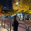 은행공원 내 | 서울 한강 야간에 밤산책하기 좋은 단풍과 은행나무로 가득찬 산책길 선유도공원