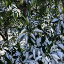 주생농장 이미지