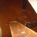 신지면-3 이미지