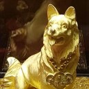 황금땅공인중개사사무소 이미지