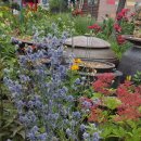 고성여행 제대로 하기 이미지