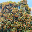 대봉1동 행정복지센터 이미지