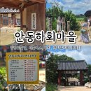 연당마을관광안내소 | 안동하회마을 여행 완벽 가이드 | 입장료할인, 셔틀버스, 주차, 부용대, 병산서원까지 총정리