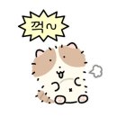 모도리빵집 이미지