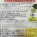 천하제일복권명당 - 서구 | 천하제일복권명당