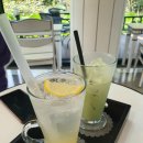 동가룰가든 이미지