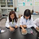 부산광역시보건환경연구원 이미지