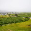 시네루당구장 이미지