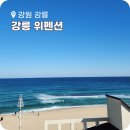 펜션502 | 강릉 안목해면 오션뷰 숙소 추천 위펜션 502호 후기