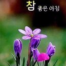 행복한하루 이미지