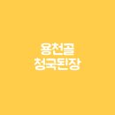 용천골청국된장