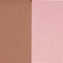 단델리온 이미지