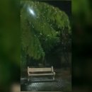범일로주유소