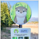 섬진강대나무숲길 이미지