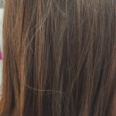 아까르마 이미지