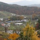 인동2리 이미지