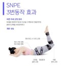 SNPE 이미지