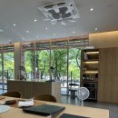 청솔초등학교 | 울산 달동 오마카세 ‘스시유우’ 런치 후기