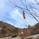 용연사주차장 이미지