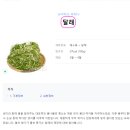 지나리 네이버블로그