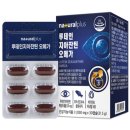 루테인몰
